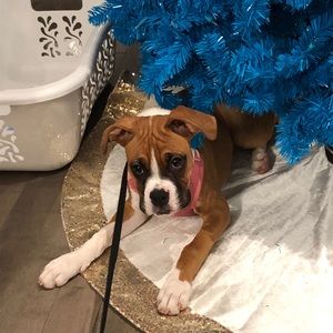 Meet your Posher, Anna